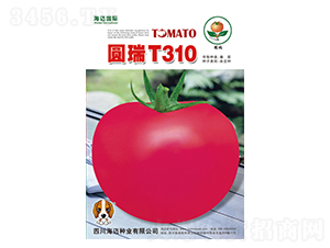 �A��T310-���ѷN��-���~��(gu��)�H