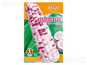 ����Ŵ6̖-���׷N��-�A�r��-���~���H