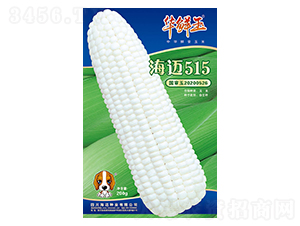 ���~515-���׷N��-�A�r��-���~���H