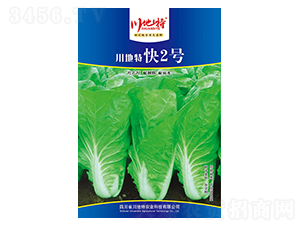 �����ؿ�2̖-�ײ˷N��-������