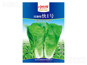 �����ؿ�1̖-�ײ˷N��-������