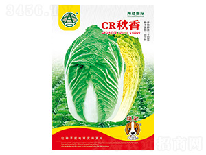 CR����-��ײ˷N��-���~���H