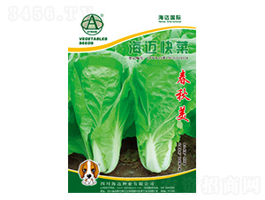 ���~���-��ײ˷N��-���~���H