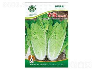 ��ޱ-��ײ˷N��-���~���H