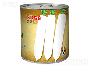 NR�C��-���}���N��-���~��(gu��)�H