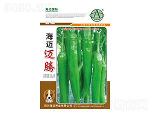 ���~�~�v-�����N��-���~���H