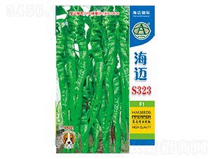 ���~S323-�����N��-���~���H