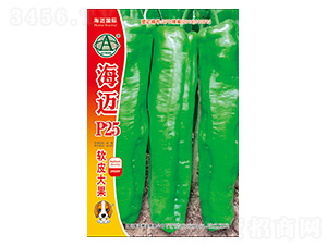 ���~P25-�����N��-���~���H