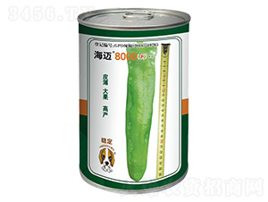 ���~8000-�����N��-���~���H