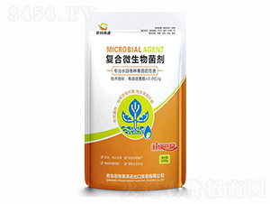 �ͺ�΢�������-�����R��