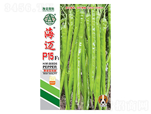 ���~P15-�����N��-���~���H