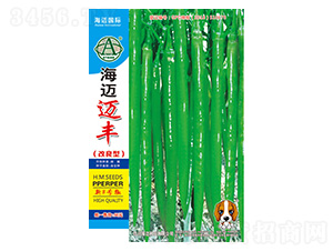 ���~�~�S-�����N��-���~���H