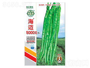 ���~5000E-�����N��-���~���H