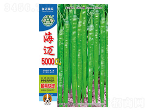 ���~5000CL-�����N��-���~���H