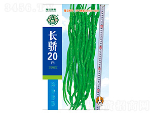 �L(zh��ng)�20-�����N��-���~��(gu��)�H