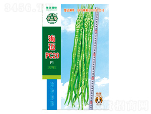 ���~PC20-�����N��-���~���H