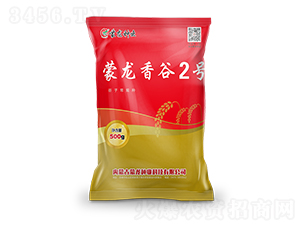 �������2̖(h��o)-���ӷN��-�����N�I(y��)