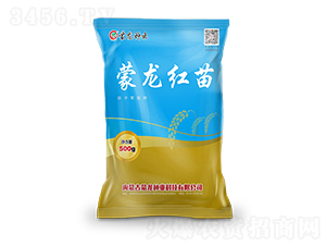 �����t��-���ӷN��-�����N�I(y��)