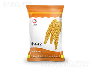 ���12-���ӷN��-�����N�I(y��)