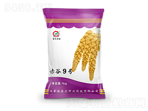 ���9̖(h��o)-���ӷN��-�����N�I(y��)