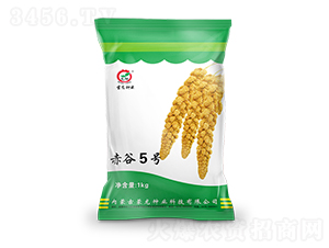 ���5̖(h��o)-���ӷN��-�����N�I(y��)