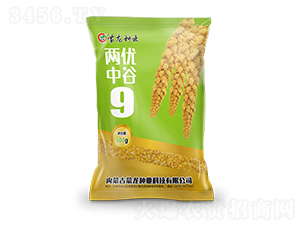 �Ƀ�(y��u)�й�9-���ӷN��-�����N�I(y��)