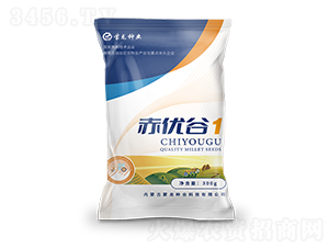 ����(y��u)��1���{(l��n)��-���ӷN��-�����N�I(y��)