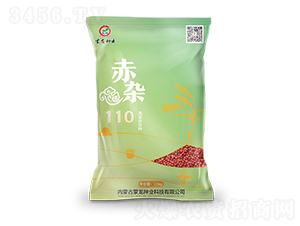 ���s110-�����N��-�����N�I(y��)