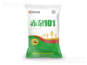 ���s101-�����N��-�����N�I(y��)