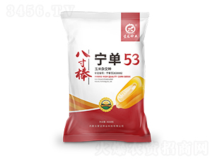 ����53-���׷N��-�����N�I(y��)