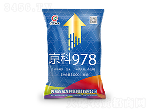 ����978���{��-���׷N��-�����N�I(y��)