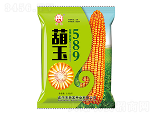 ����589-���׷N��-����N�I(y��)