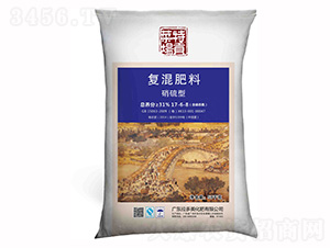 �����͏�(f��)�����17-6-8-�ˈ���ؕ