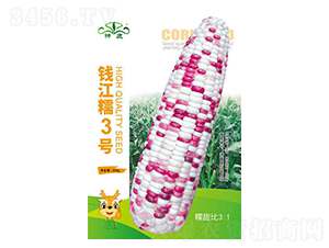 �X��Ŵ3̖���׷N��-��¹�N�I(y��)