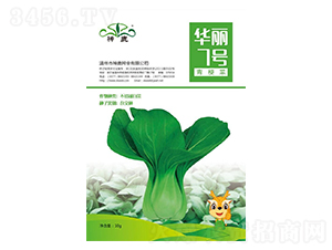 �A��7̖-�๣�˷N��-��¹�N�I(y��)