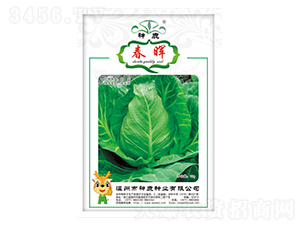 �������{�N��-��¹�N�I(y��)