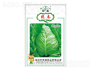 �Դ����{�N��-��¹�N�I(y��)