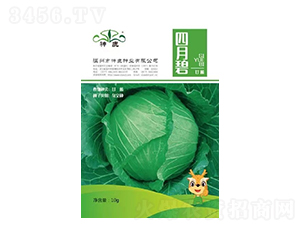 ���±̸��{(l��n)�N��-��¹�N�I(y��)