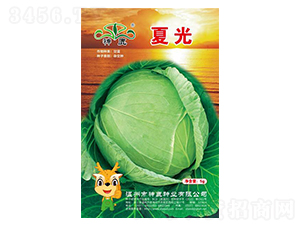 �Ĺ���{(l��n)�N��-��¹�N�I(y��)