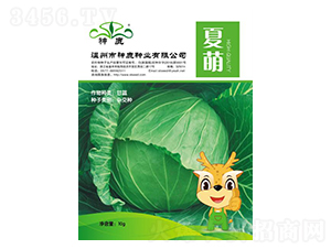 ���ȸ��{(l��n)�N��-��¹�N�I(y��)