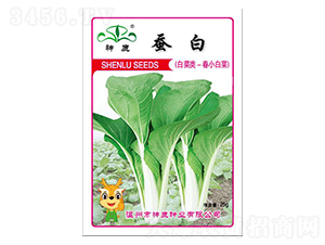 �Q�װײ˷N��-��¹�N�I(y��)