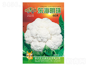 �|������60��-��Ҭ�˷N��-��¹�N�I(y��)