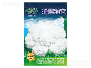 ��ѩ�ش�80��-��Ҭ�˷N��-��¹�N�I(y��)