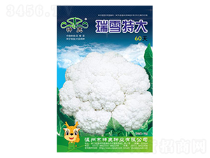 ��ѩ�ش�60��-��Ҭ�˷N��-��¹�N�I(y��)