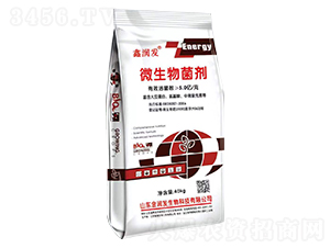 5�|���΢�������-�𝙰l(f��)