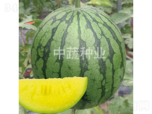 ���P-���ϷN��-���߷N�I(y��)