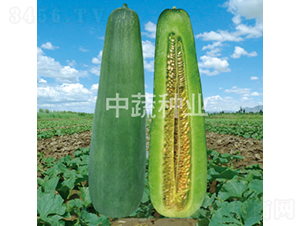 �Gţ-��ϷN��-���߷N�I(y��)