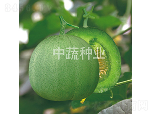 �G��58-��ϷN��-���߷N�I(y��)