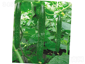 ���r(n��ng)16̖(h��o)-�S�ϷN��-���߷N�I(y��)