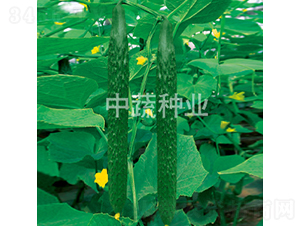 ���r(n��ng)106̖(h��o)-�S�ϷN��-���߷N�I(y��)